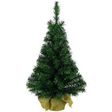 Picture for category Christmas Trees
