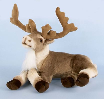 Premier-Sitting-Reindeer