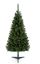 Premier-Douglas-Fir-Tree