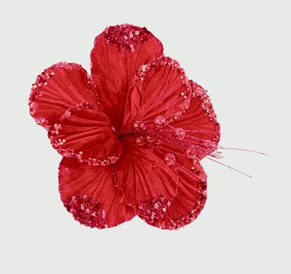 Premier-Hibiscus-Flower