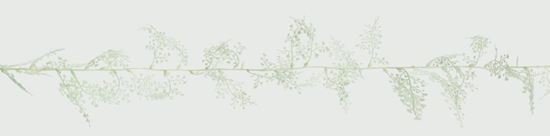 Premier-Maidenhair-Fern-Garland-Glitter-White