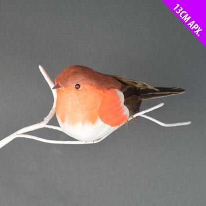 Davies-Products-Chubby-Robin-on-Wire