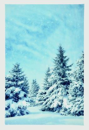 Premier-Snowy-Christmas-Tree-Backdrop