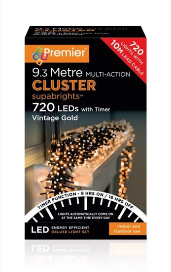 Premier-Multi-Action-Supabrights-Cluster-Lights-With-Timer