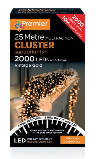 Premier-Multi-Action-Supabrights-Cluster-Lights-With-Timer