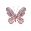 Davies-Products-Butterfly