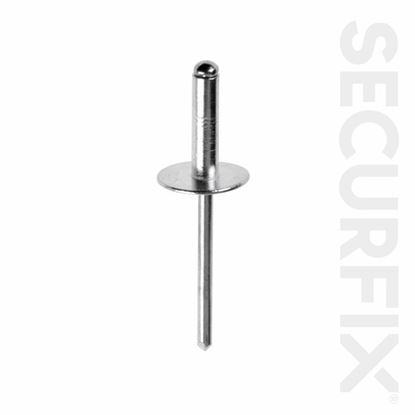 Securfix-Trade-Pack-Blind-Rivets-Wide-316X34