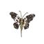 Davies-Products-Metallic-Leopard-Butterfly-Pick