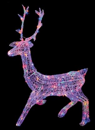Premier-Stag-With-Twinkling-LEDs-14m