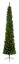 Premier-Green-Pencil-Pine