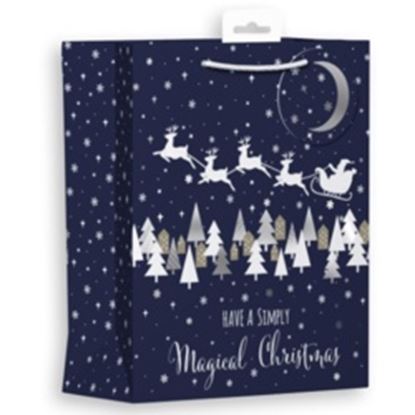 Ig-Design-Midnight-Santa-Landscape-Gift-Bag