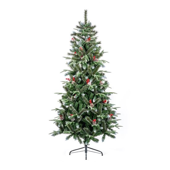 Premier-Slim-New-Jersey-Spruce-Tree