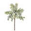 Premier-Eucalyptus-Pick