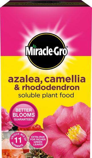 Miracle-Gro-Azalea-Camellia--Rhododendron-Soluble-Plant-Food