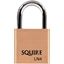 Squire-Lion-Brass-Padlock