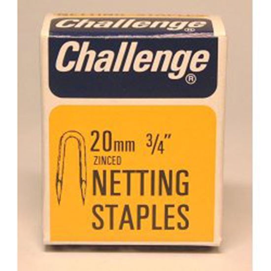 Challenge-Netting-Staples---Zinc-Plated-Box-Pack