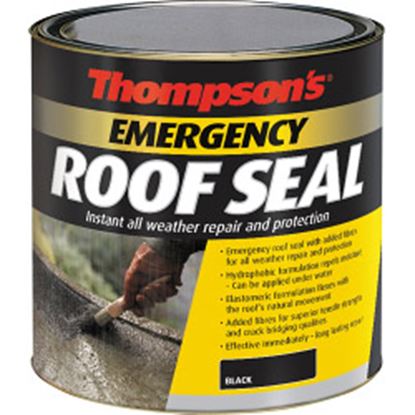 Thompsons-Emergency-Roof-Seal