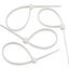 Securlec-Cable-Ties-Pack-100