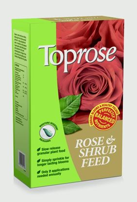 Toprose-Rose--Shrub-Feed