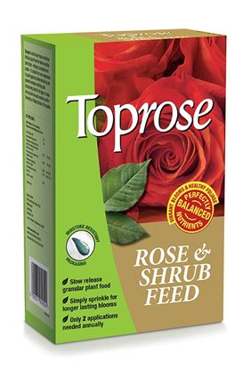 Toprose-Rose--Shrub-Feed