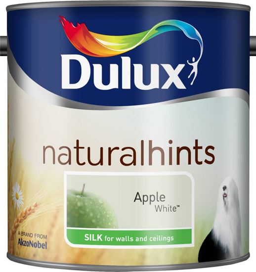 Dulux-Silk-25L