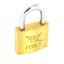 Securit-Egret-Brass-Padlock-Cylinder-Action