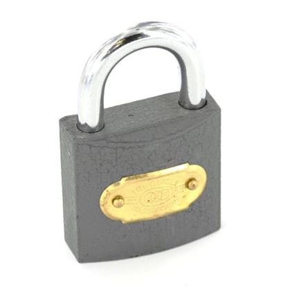 Securit-Tricircle-Iron-Padlock-Brass-Cylinder