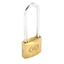 Securit-Tricircle-Long-Shackle-Brass-Padlock