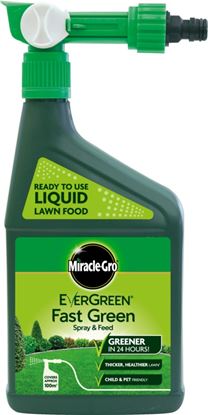 Miracle-Gro-Evergreen-Fast-Green