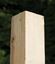 Pressure-Treated-Fence-Post