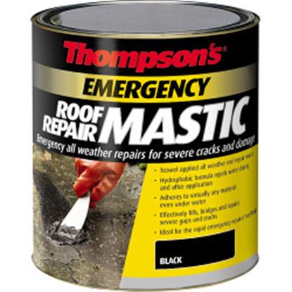 Thompsons-Emergency-Roof-Repair-Mastic