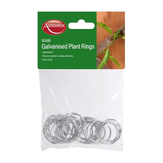 Ambassador-Galvanised-Plant-Rings
