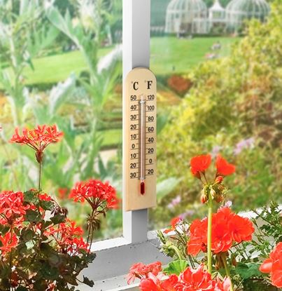 Ambassador-Wooden-Thermometer