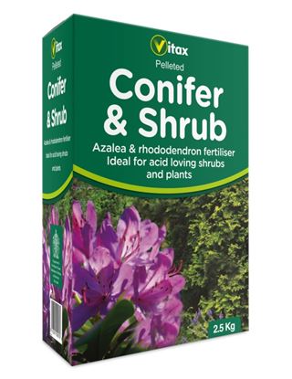 Vitax-Conifer--Shrub