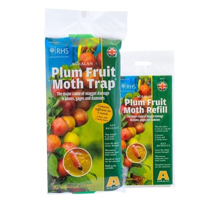 Agralan-Plum-Fruit-Moth-Trap