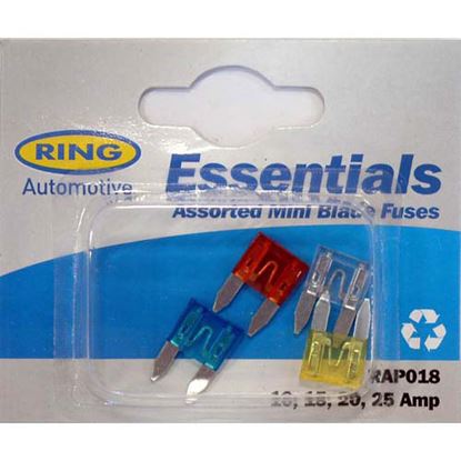 Ring-Assorted-Mini-Blade-Fuse