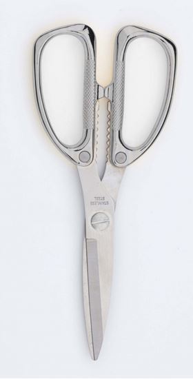 Grunwerg-KItchen-Shears