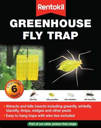 Rentokil-Greenhouse-Fly-Trap