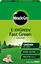 Miracle-Gro-Evergreen-Fast-Green