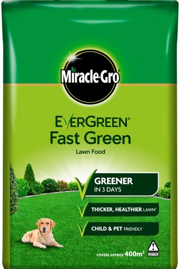 Miracle-Gro-Evergreen-Fast-Green