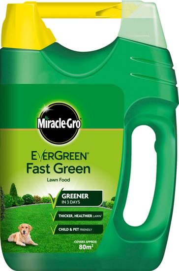 Miracle-Gro-Evergreen-Fast-Green