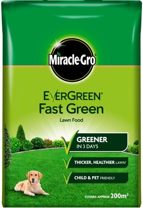 Miracle-Gro-Evergreen-Fast-Green
