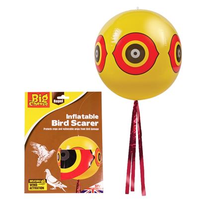 The-Big-Cheese-Eyeball-Bird-Scarer