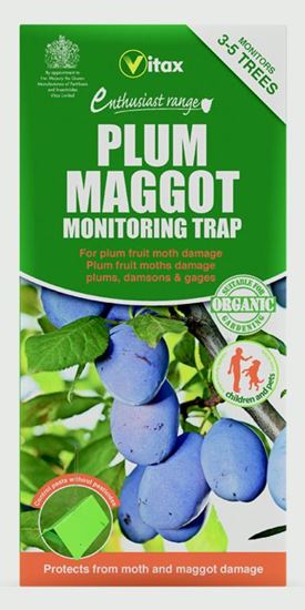 Vitax-Plum-Maggot-Trap