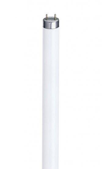 Eveready-Triphosphor-Tube-864