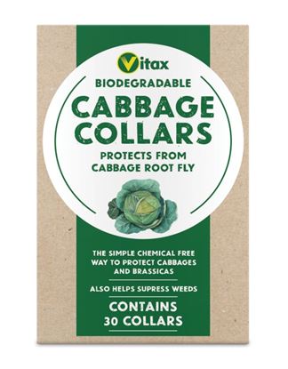 Vitax-Cabbage-Collars