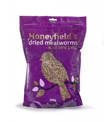 Honeyfields-Mealworms