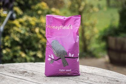 Honeyfields-Nyjer-Seed