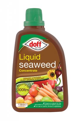 Doff-Liquid-Seaweed-Plant-Feed