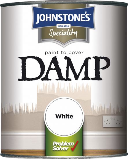 Johnstones-Paint-To-Cover-Damp